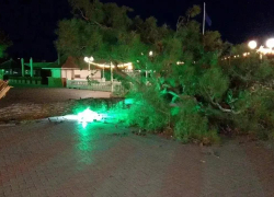 В городе-курорте Кубани сильный ветер разбросал деревья и завалил линии электропередачи 