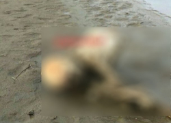  Половину человеческого скелета и его скальп нашли в Курганинском районе 
