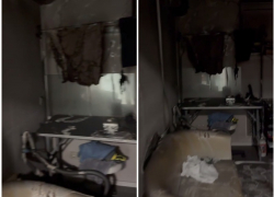 Закидали бутылками с бензином: груминг-салон сожгли в Краснодаре  