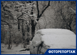 Лучше не выходить из дома. Фоторепортаж о зимней сказке в Краснодаре