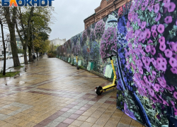 В парках Краснодара запретили электросамокаты