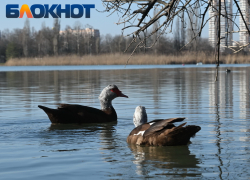 Осень закончится дождем в Краснодаре