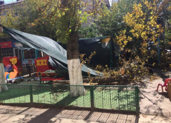 Названы обвиняемые в гибели воспитанницы краснодарского детсада из-за упавшего дерева