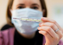 Как получить больничный на карантине, рассказали в Краснодарском отделении ФСС