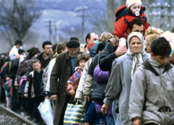 Беженцы прибудут на Кубань: регион готовится принять тысячи жителей ДНР и ЛНР