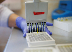 Коронавирус подтвердился в 23 муниципалитетах Кубани