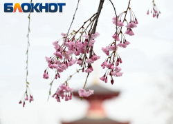 Облачная и теплая погода накроет Краснодар в пятницу