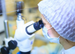 В Краснодарском крае набирает обороты эндокринное бесплодие