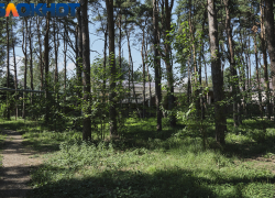 Погрузили в багажник и вывезли в лес: в Краснодаре задержан участник жестокого убийства 12-летней давности