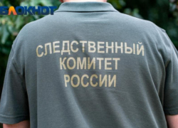 «Няня снимала порно с ребёнком на телефон»: скандальную историю в Краснодаре проверит СК