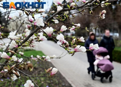 Последний вторник марта будет пасмурным в Краснодаре 