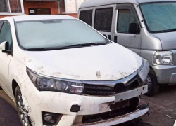 «Мохнатые автомеханики»: в Краснодаре собаки разобрали автомобиль на запчасти