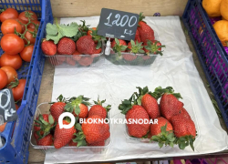 В Краснодаре начали торговать клубникой 