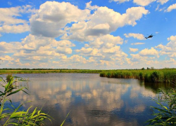 В Краснодарском крае нашли тело молодой девушки