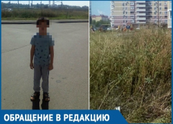  Из-за огромного поля амброзии возле дома ребенок едва не задохнулся в Краснодаре 