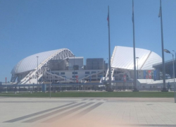  Сборная России сыграет в Сочи только осенью 