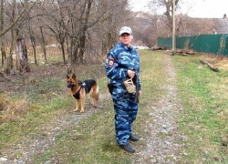 Овчарка Яра помогла раскрыть кражу бензопил в Краснодарском крае 
