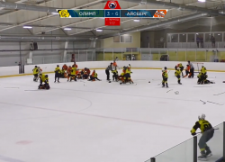 Такой хоккей нам не нужен: юные хоккеисты из Горячего Ключа и Самары устроили массовую драку на льду в Саратове