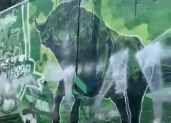 Вандалы изуродовали граффити с символом ФК «Краснодар»