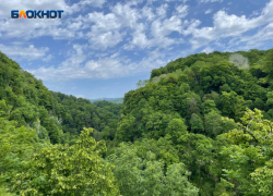 В Краснодарском крае ощутили подземные толчки 