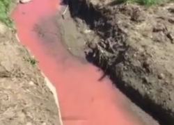 «Оранжевая вода»: Красители изменили цвет реки в Сочи