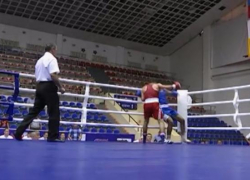 В Краснодаре завершился чемпионат ЮФО по боксу