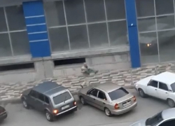 Дело умершего стрелка из Крымска направили в суд