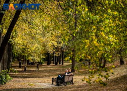 Краснодарцам напомнили о дополнительных выходных днях весной