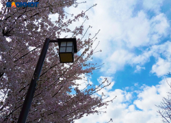 Понедельник не порадует краснодарцев солнечной погодой