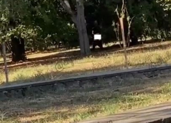 В Чистяковской роще мужчина мастурбировал на глазах краснодарок 