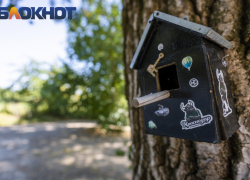 Важное в Краснодаре 9 октября: читаем, поминаем усопших, печём пироги