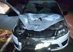 В Краснодарском крае пьяный водитель авто насмерть сбил велосипедиста с 9-летним ребенком 