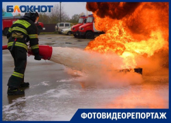 Змеи в магазинах, коровы в трясинах и коты на деревьях: истории спасателей Краснодара