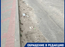 В Краснодаре мусор на улице Сарабеева не убирается годами 