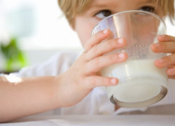  Школьники Армавира снова будут получать бесплатное молоко 