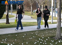 Потепление до +16 градусов ожидается в Краснодаре