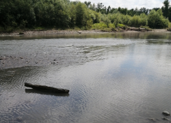 На Кубани СК начал проверку по факту исчезновения девочки в реке Кубань