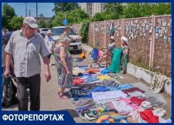 «Пытаемся выживать как в 1990-е»: блошиный рынок Краснодара открыл свои тайны