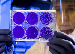 В Краснодарском крае службы скорой помощи работают с тройной нагрузкой