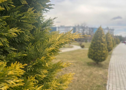 Промозглая погода ждет краснодарцев 25 февраля  