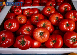 В Краснодарском крае зафиксировали рост цен на овощи 