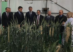 Александр Ткачев показал Владимиру Путину Краснодарский край