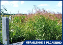 Надгробия утонули в траве на кладбище в Краснодаре 