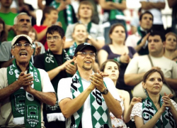 Ростовчанин предложил перенести матчи ЧМ-2018 в Краснодар из донской столицы