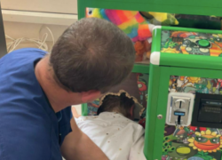Ребенок застрял головой в автомате с игрушками в Краснодарском крае