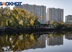 Последняя пятница осени принесет в Краснодар солнечную погоду 