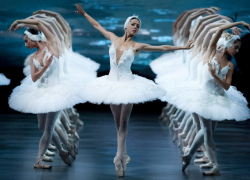 «Легендарные хореографы XX века» пройдут в краснодарском театре балета