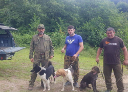 Шумовые прогоны медведей устроили в Сочи 