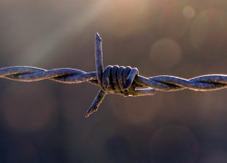 Краснодарские мошенники, обманувшие дольщиков, поделят 48,5 лет колонии на семерых