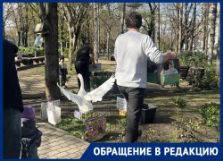 На потеху публике животных рассадили по тесным клеткам в сквере Краснодара